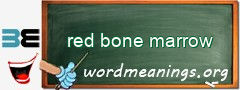 WordMeaning blackboard for red bone marrow